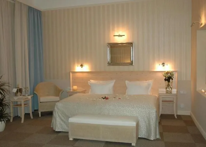 Hotel Unitas 4*